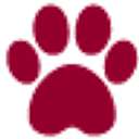 Academy Vet Centre, Stranraer logo