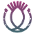 IVC Evidensia logo