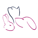 IVC Evidensia logo