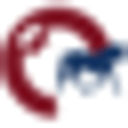 Buckingham Equine Vets logo