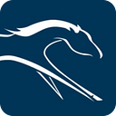 VetPartners logo