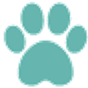 Sprinz and Nash logo