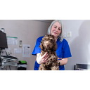 Avon Lodge Veterinary Group logo