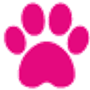 Vets Now logo