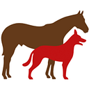 CVS Group logo