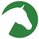 CVS Group logo