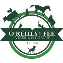 CVS Group logo