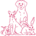 Twickenham Vets Ltd logo