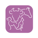 Seafield Veterinary Group, Banff Surgery logo