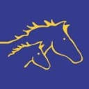 VetPartners logo