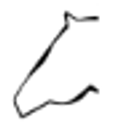 Endell Equine Hospital logo