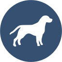 CVS Veterinary Group logo