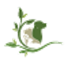IVC Evidensia logo