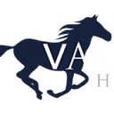 CVS Group Plc logo