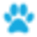 CVS logo