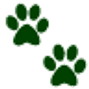 IVC Evidensia logo