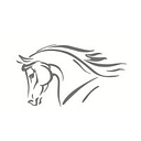 CVS Vets logo