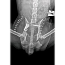 Inspiring Vet Care logo