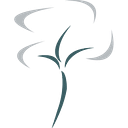 CVS logo