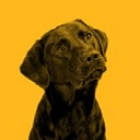 Frank. Pet Surgeons logo