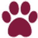 Priory Vets logo