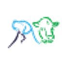 The Kingston Veterinary Group logo