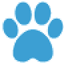 White House Vets logo