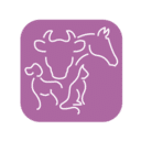 Seafield Veterinary Group logo