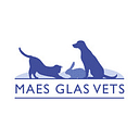 Maes Glas Vets - Bridgend logo