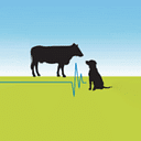 MM Leggett Veterinary Surgery logo