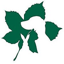 Abington Park Vets logo