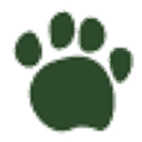 Cootes Veterinary Clinic logo