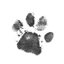 Milan Veterinary Clinic, Douglas logo